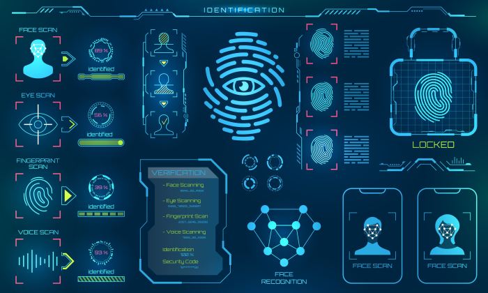 Biometric authentication identification